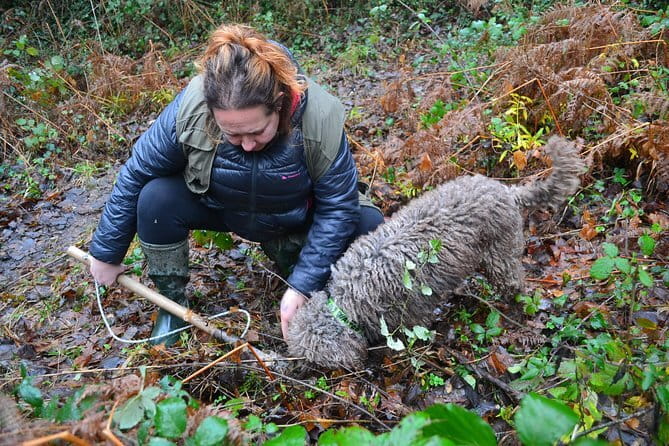 Truffle Hunting Experience with Lunch in San Miniato - San Miniato Is the Smart Base for a Truffle Hunt