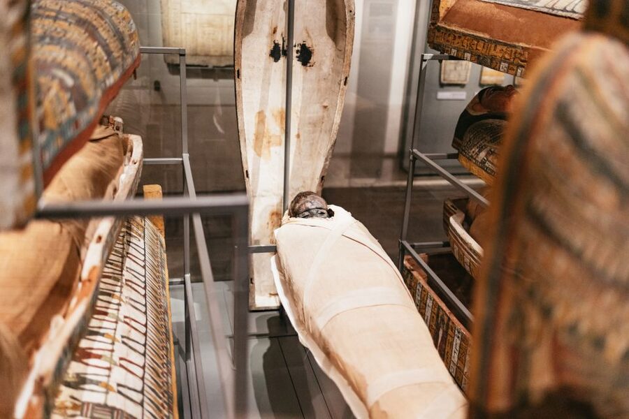 Turin: Egyptian Museum Priority Access Guided Tour - The sphinx corridor finish: a satisfying closing image