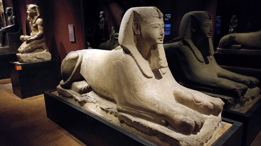 Turin: Guided Egyptian Museum Tour - Predynastic to Dynasties, Why Chronology Helps