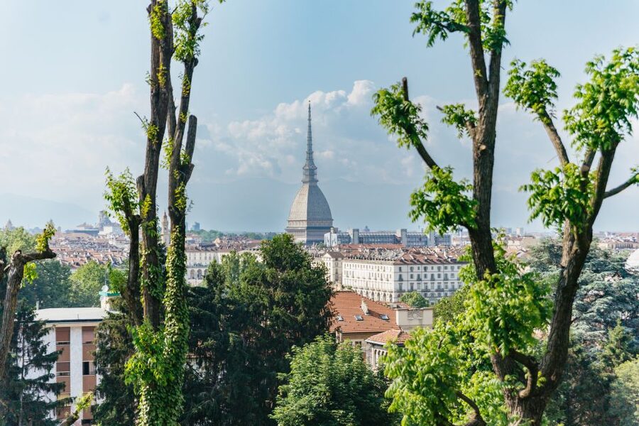 Turin: Hop-on Hop-off Bus Tour with 24 or 48-Hour Ticket - The Blue Line: Automobile Museum, Lingotto, and the Olympic venues