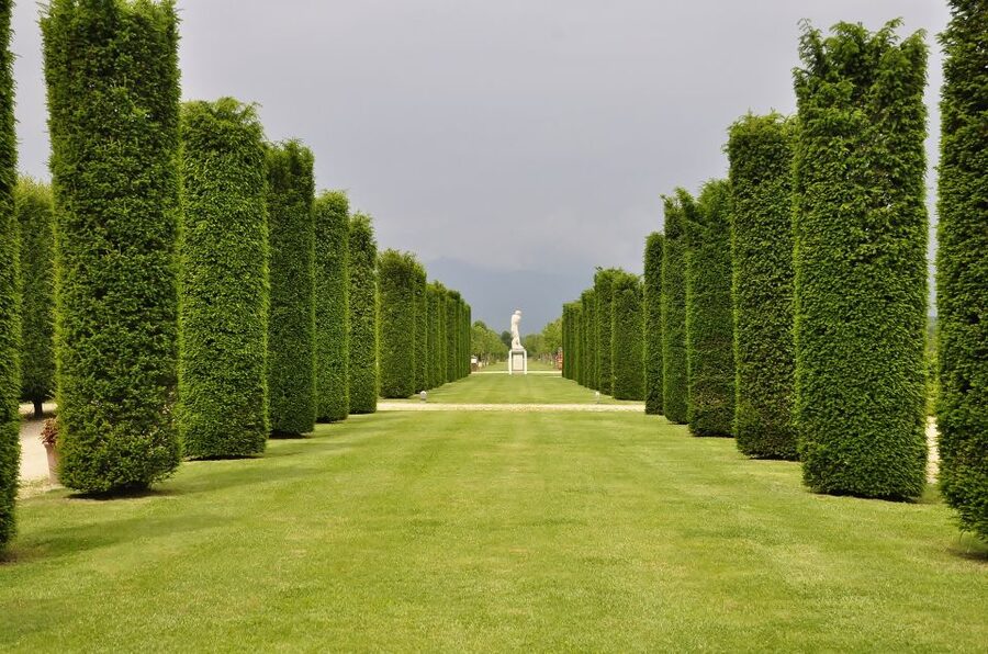 Turin: Palace of Venaria Guided Tour - Key moments you will actually care about