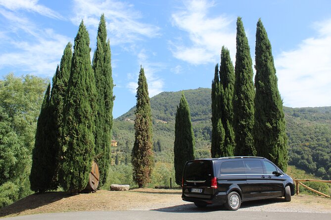 Tuscan Wine Tour in Lucca by van - Key things to know before you go