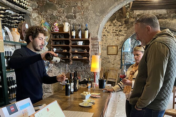 Tuscan Wine Tour in Lucca by van - Lucca wine tour in a small van, with two real wineries