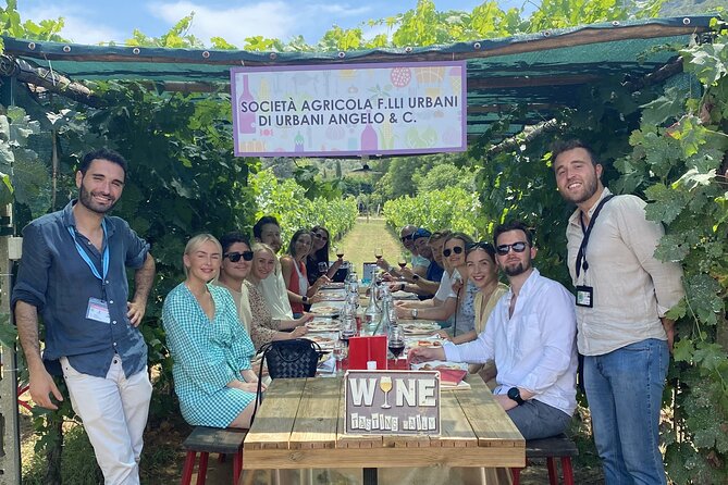 Tuscan Wine Tour in Lucca by van - What you taste: organic wines, orange wine moments, and pairing snacks