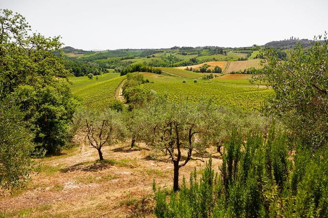 Tuscany Day Trip from Florence: Siena, San Gimignano, Pisa and Lunch at a Winery - A Tuscany highlights day trip from Florence, what you’re really buying