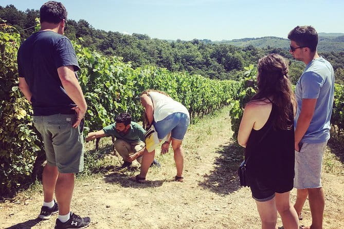 Tuscany Vespa Tours Through the Hills of Chianti - Buying Wine and Olive Oil: Turning Tastings Into Souvenirs