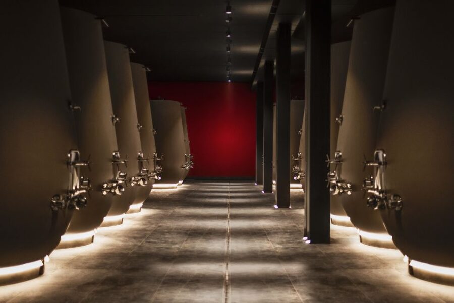 Valpolicella: 1.5-Hour Guided Winery Tour with Wine Tasting - The Role of the Sommelier: Learn While You Sip