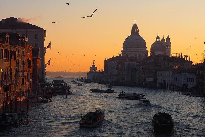 Venice Marco Polo Airport Private Arrival Transfer via Motorboat - The Private Motorboat Ride, Fast and Built for Comfort