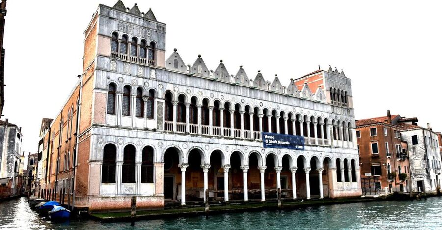 Venice: Natural History Museum Entry Ticket - Practical Timing in Venice: When to Go and How Much to See