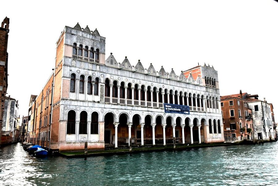 Venice: Natural History Museum Entry Ticket - Entering the 13th-Century Natural History Museum