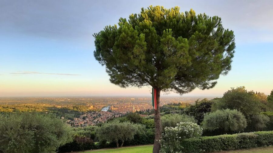 Verona: Wine Tasting with Snacks and Panoramic Views - Should you book this Verona tasting?