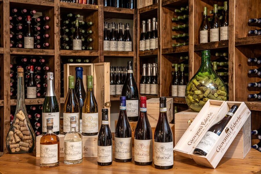 Verona: Wine Tasting with Snacks and Panoramic Views - How the tasting lineup walks you through local styles