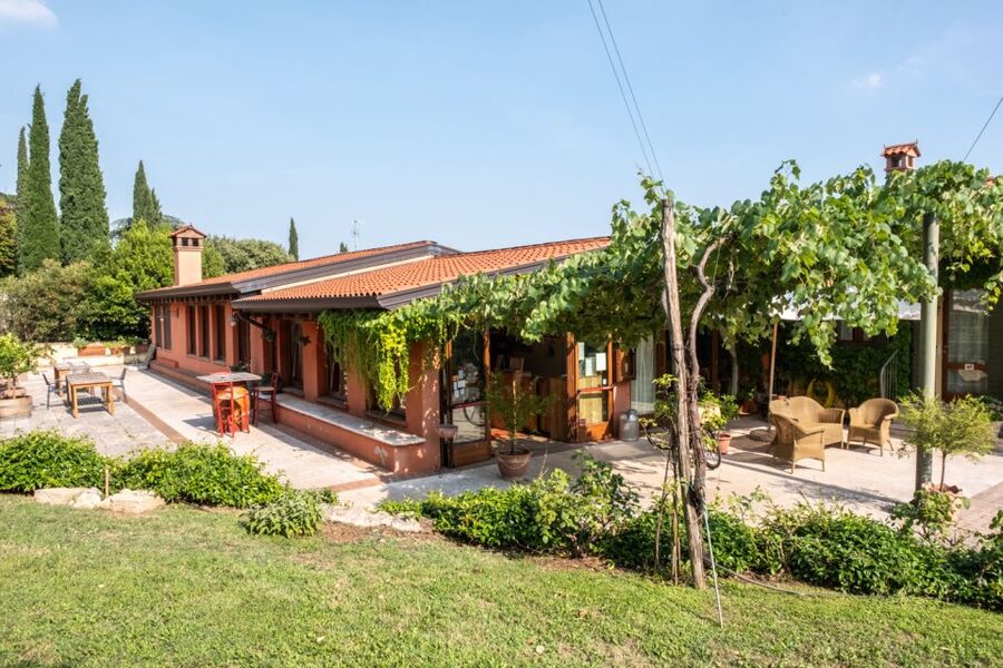Verona: Wine Tasting with Snacks and Panoramic Views - Who should book this Verona wine tasting