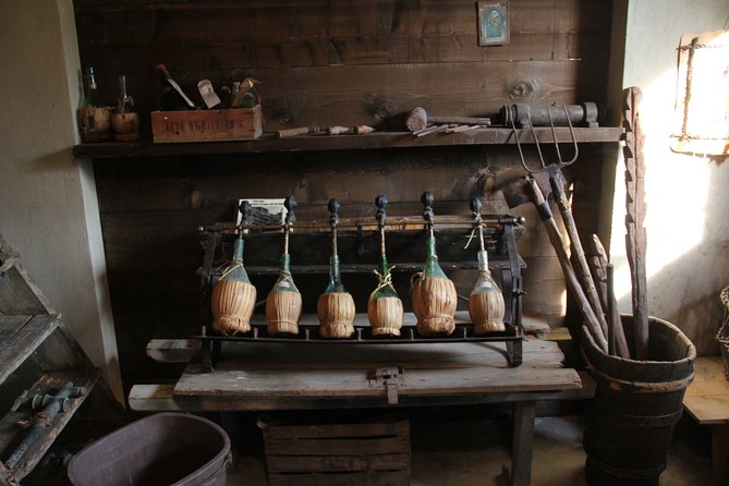 Wine and food tasting in an organic family winery - The wine line-up: eight organic wines, plus chocolate and Vin Santo