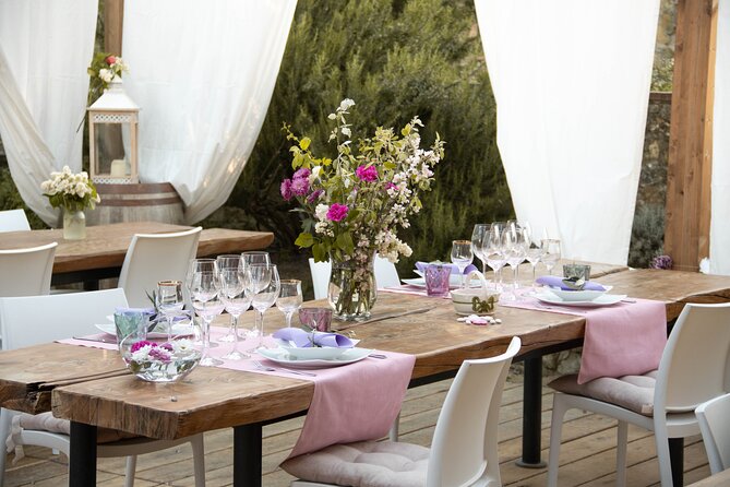 Wine and food tasting in an organic family winery - Pickup, start time, and what the 12:00 pm slot means for your day