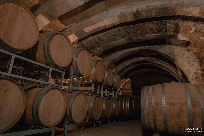 Wine and food tasting in an organic family winery - Price and value: what you get for $108.89 per person