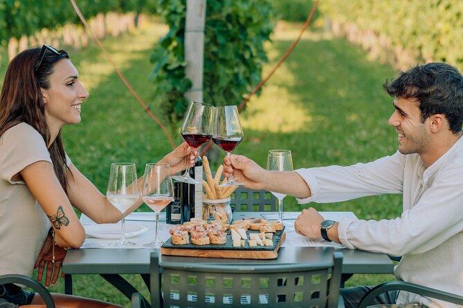 Wine and Food Tasting in the Vineyards in Lazise - Key things I think you should know first