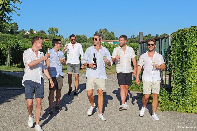 Wine and Food Tasting in the Vineyards in Lazise - The wines that set the stage: Garganega and Chiaretto