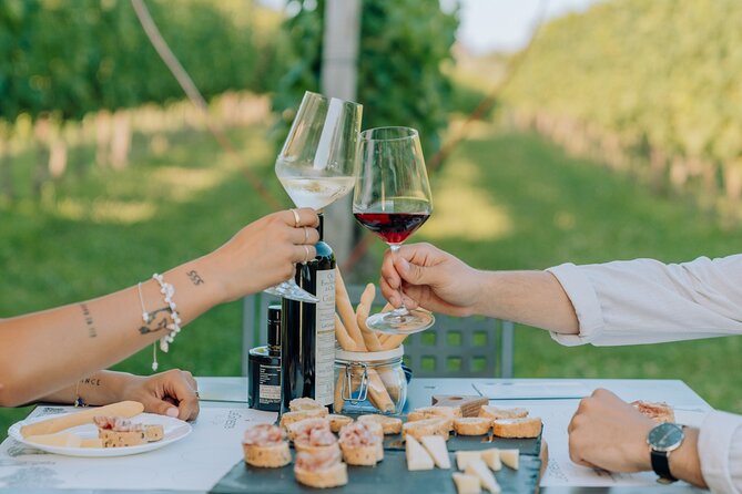 Wine and Food Tasting in the Vineyards in Lazise - Food included: cold cuts, cheese, bruschetta, and how it supports the tasting