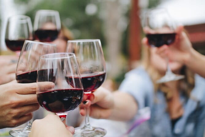 Wine Experience In Chianti Hills from Florence - Key points to know before you go
