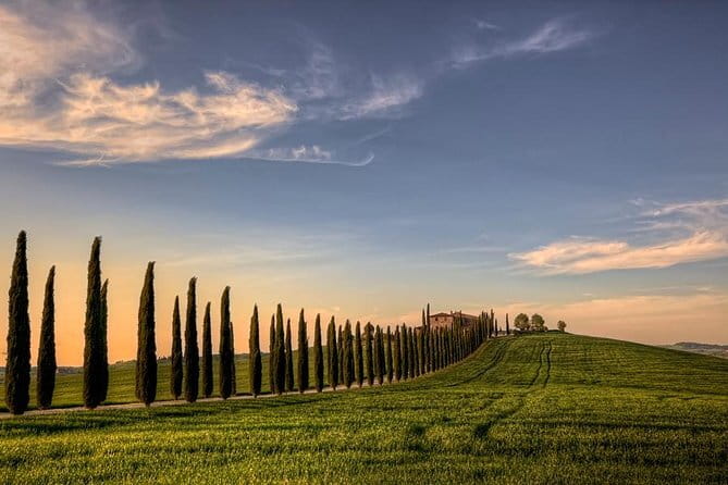 Wine Experience In Chianti Hills from Florence - Wine shopping without the stress
