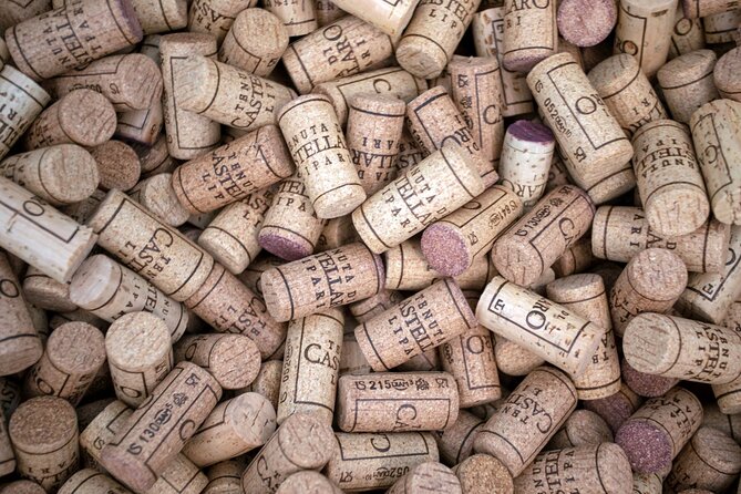 Wine tasting THE CLASSICS - Who this fits best, and who might want a different plan