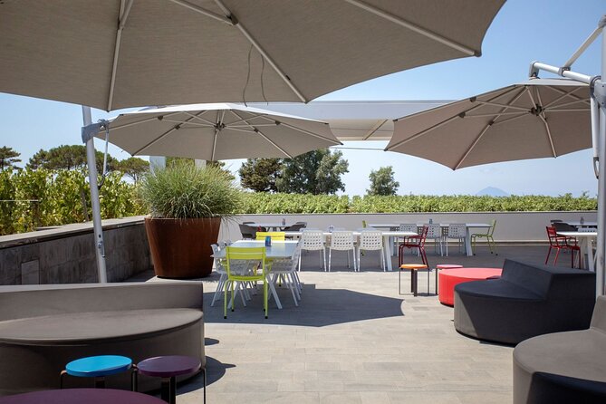 Wine tasting THE CLASSICS - The 12:30 tasting flow, from arrival to your last sip