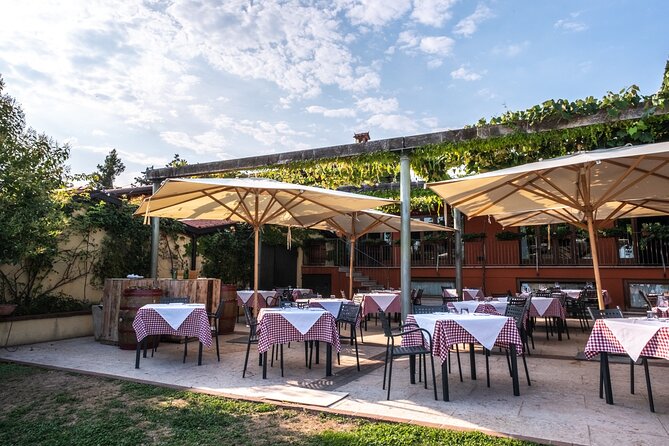 Wine Tasting with Panoramic View of Verona - Who This Verona Wine Tasting Is Best For