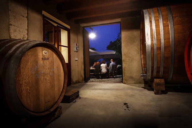 Wine Tasting with Panoramic View of Verona - The Panoramic Terrace Tasting: 5 Wines Plus a Local Platter